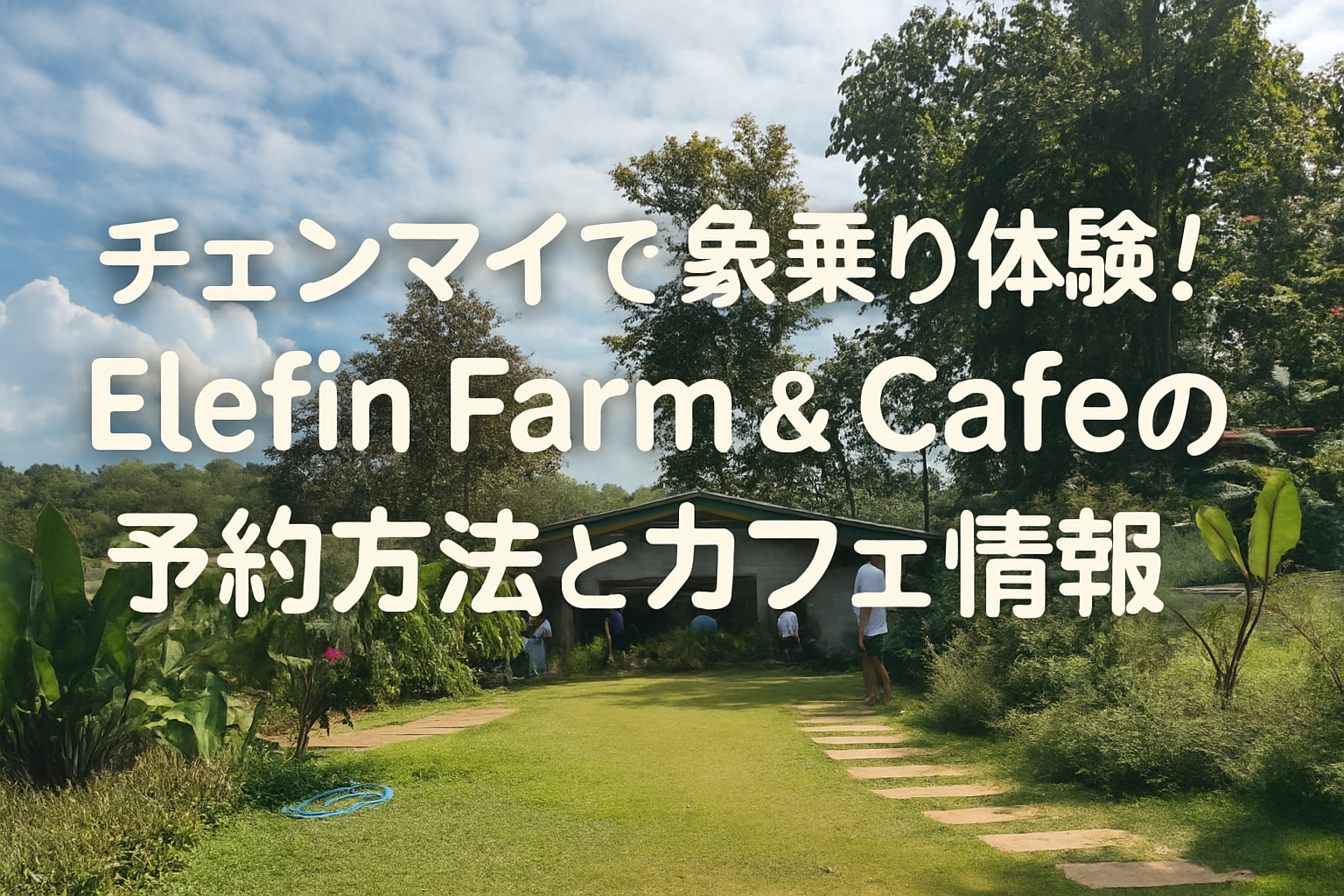 チェンマイで象乗り体験！Elefin Farm & Cafeの予約方法とカフェ情報 | momo_chibimomo_travel
